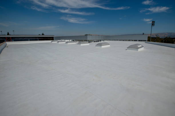 Best Sheet Metal Roofing  in Elkader, IA