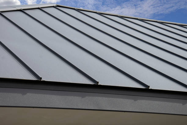 Best Gutter Installation and Repair  in Elkader, IA